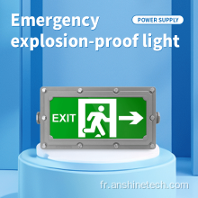 Panneau de sortie antidéflagrant double face